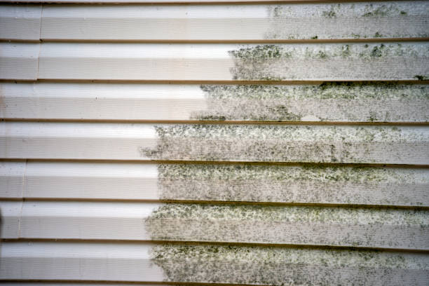 Same-Day Junk Removal Services in Feasterville, PA